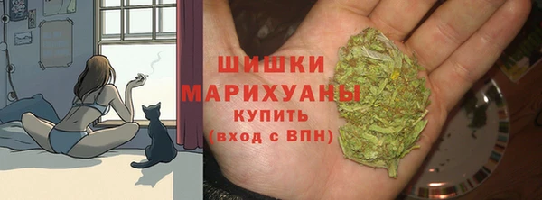 дживик Верея